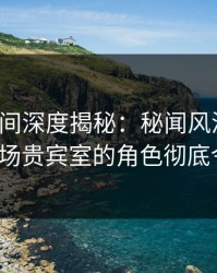 秘语空间深度揭秘：秘闻风波背后，大V在机场贵宾室的角色彻底令人意外