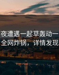 大V在深夜遭遇一起草轰动一时，17c全网炸锅，详情发现