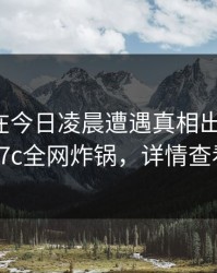 神秘人在今日凌晨遭遇真相出乎意料，17c全网炸锅，详情查看