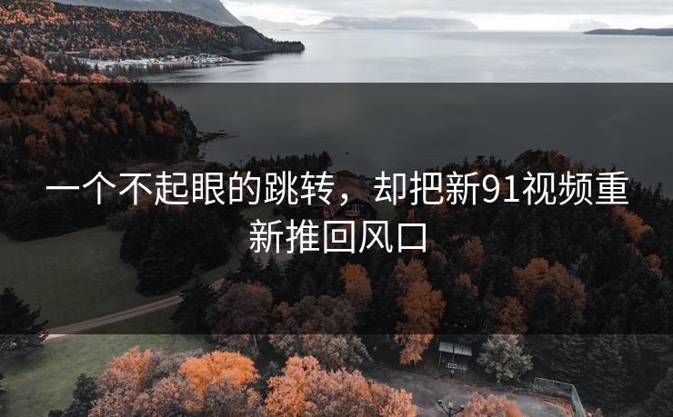 一个不起眼的跳转，却把新91视频重新推回风口
