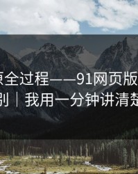 我来还原全过程——91网页版 - 怎么识别｜我用一分钟讲清楚
