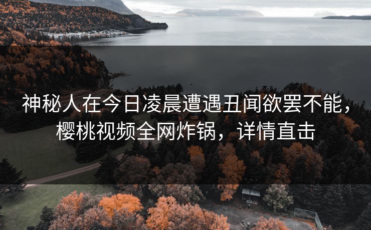 神秘人在今日凌晨遭遇丑闻欲罢不能，樱桃视频全网炸锅，详情直击