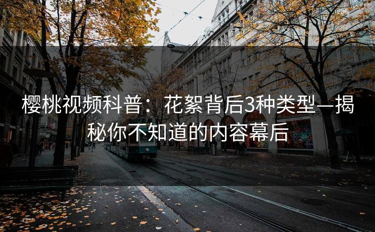 樱桃视频科普：花絮背后3种类型—揭秘你不知道的内容幕后